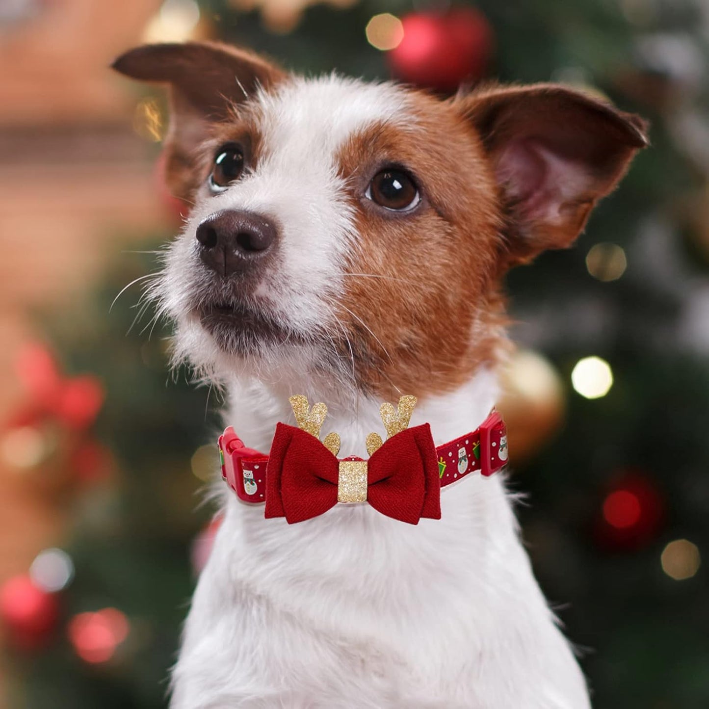 Christmas Dog Collar Adjustable Xmas Dog Collar and Bowtie